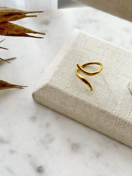 8037JR - Destiny Gold Filled Ring
