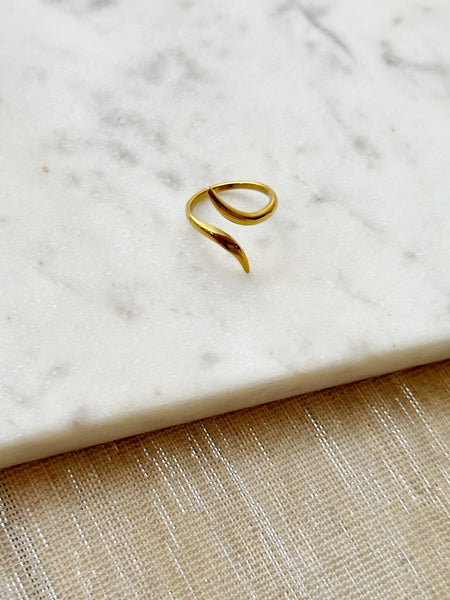 8037JR - Destiny Gold Filled Ring