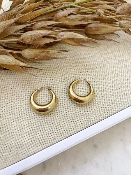 8335JE - Zina Gold Filled Hoop Earrings