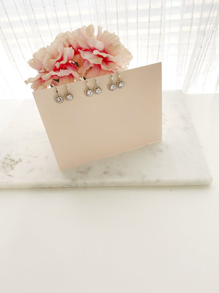 8039JE - Haven Drop Earrings