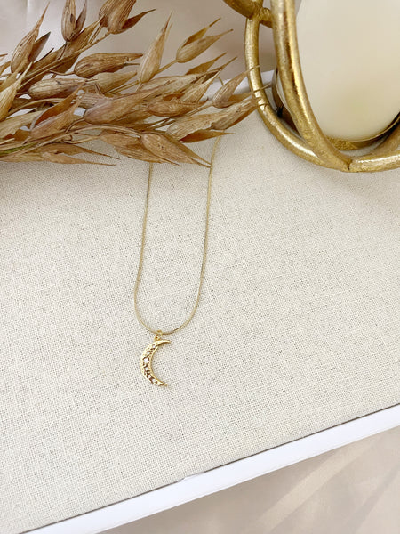 8825JN - Gemma Moon Charm Necklace