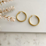 8836JE - Neeva Gold Filled Hoop Earrings