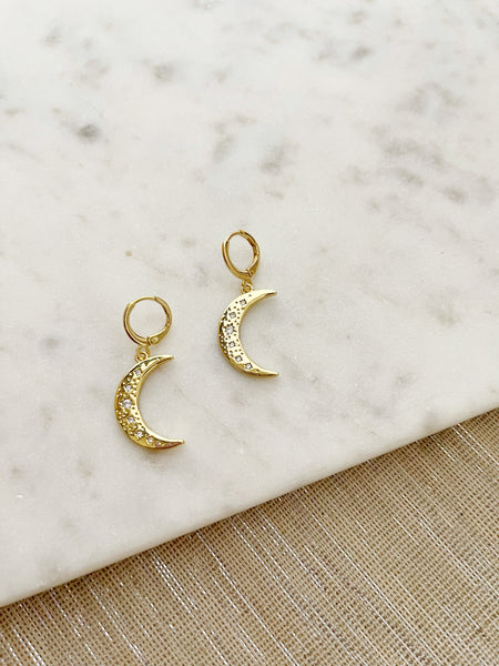 8858JE - Crescent Moon Earrings